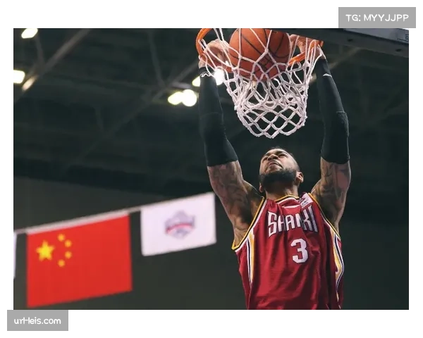 兰妮·汉密尔顿伤愈回归与自由续约一年，2024年夺冠功臣左膝半月板撕裂后复出